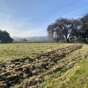 San Martin South County Mowing