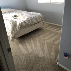 Photo of Mint Carpet Cleaning