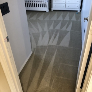 Photo of Mint Carpet Cleaning