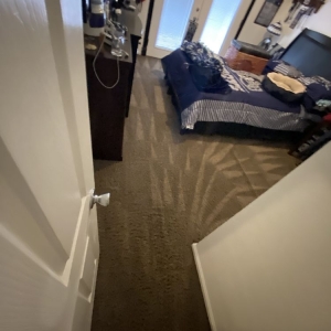 Photo of Mint Carpet Cleaning