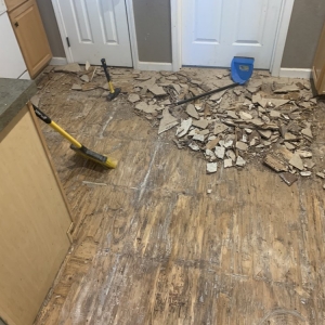 Photo of Handy Cams Property Maintenance