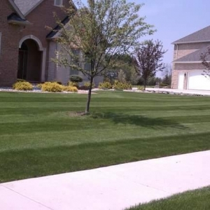 Photo of Immaculate Lawns & Landscapes