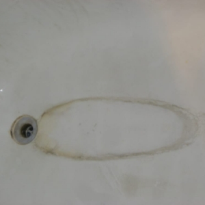 Photo of Alex's TruckMount Steam Carpet Cleaning