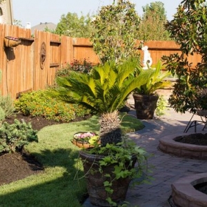 Photo of Steven's Custom Landscape Design & Irrigation
