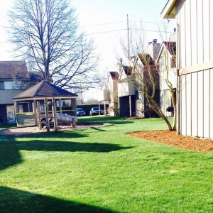 Photo of The Lawn Boys