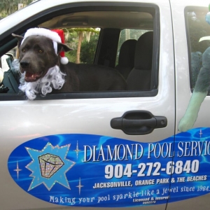Photo of Diamond Pool Equipment & Service