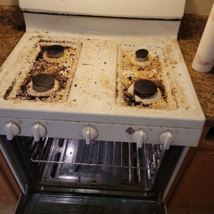 Photo of Dust Bunnys Cleaning