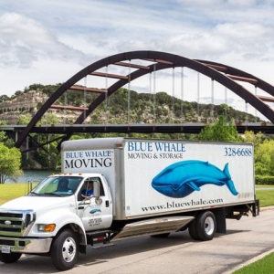 Photo of Blue Whale Moving Company