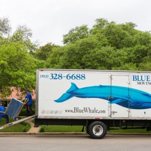 Photo of Blue Whale Moving Company