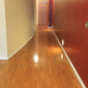 Photo of Spotless Rentals