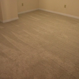 Photo of Spotless Rentals