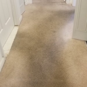 Photo of Jimmy's Professional Carpet Cleaning