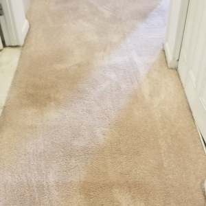 Photo of Jimmy's Professional Carpet Cleaning