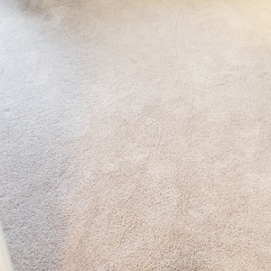Photo of Jimmy's Professional Carpet Cleaning