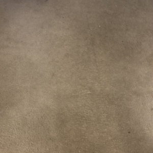 Photo of Jimmy's Professional Carpet Cleaning