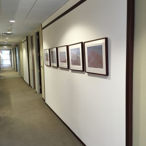 Photo of Pro-Painting & Pressure Cleaning