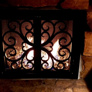 Photo of Fireplace Door Guy