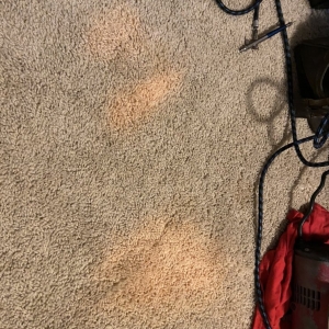 Photo of Pro-Tech Cleaning Services