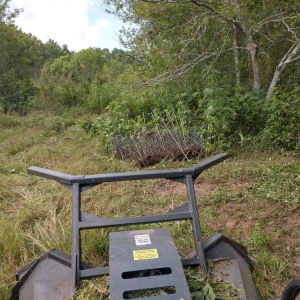 Photo of Ideal Land Services