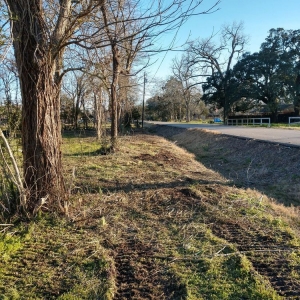 Photo of Ideal Land Services