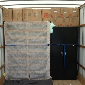 Photo of Giant Monkey Movers