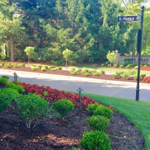 Photo of Louisville Landscape Design Build