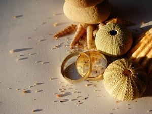 Photo of Wedding Officiant