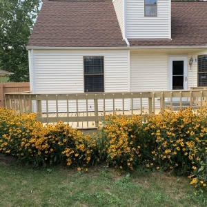 Photo of Papa's Painting And Construction