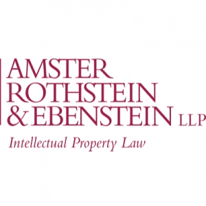 New York Amster Rothstein & Ebenstein