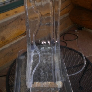 Photo of Colorado Ice Sculptures