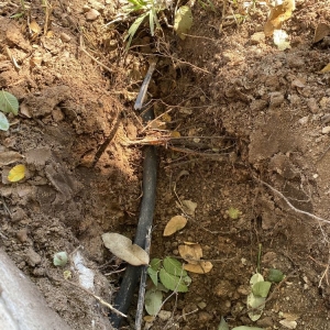 Photo of Eco Irrigation and Landscaping