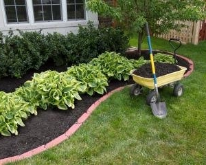 Photo of Gold Lawn Care