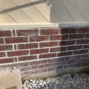 Photo of Gold Lawn Care
