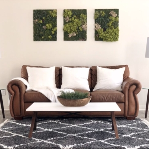 Photo of Aura Collective