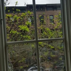 Photo of Window Cleaning