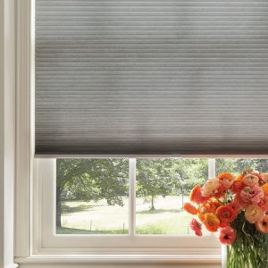 Photo of Advanced Blind & Shade