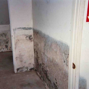 Photo of Able Restoration