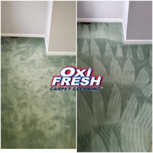 Photo of Oxi Fresh Carpet Cleaning