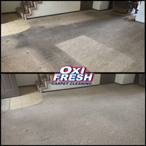 Photo of Oxi Fresh Carpet Cleaning