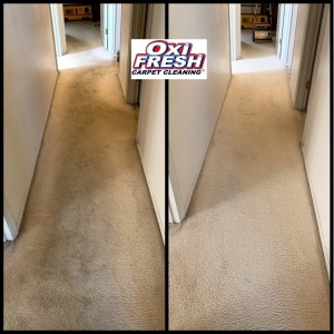 Photo of Oxi Fresh Carpet Cleaning