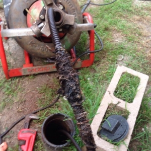 Photo of SD Rooter Co