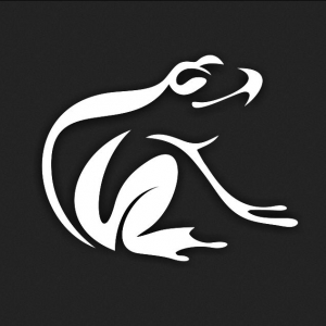 Photo of Ghost Frog Media
