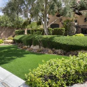 Photo of CB Desertscapes