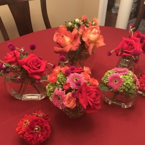 Photo of In Bloom Again