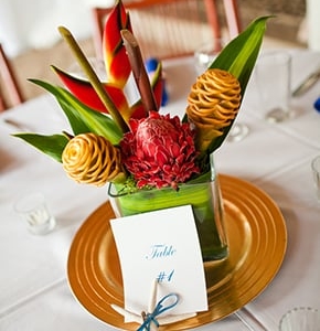 Northville Carpe Diem Events