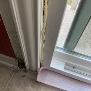 Photo of Anything Around The House