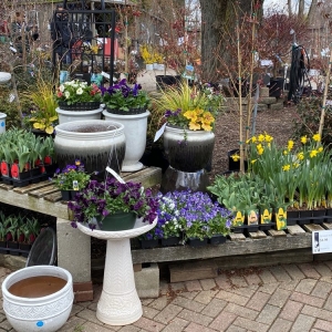 Photo of The Growing Place Garden Center