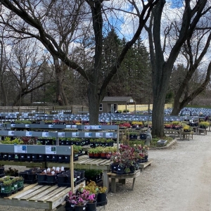 Photo of The Growing Place Garden Center