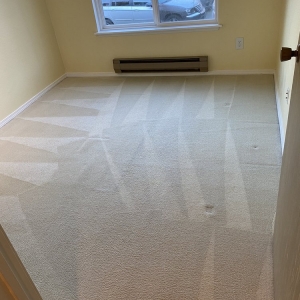 Photo of Angel's Carpet Care