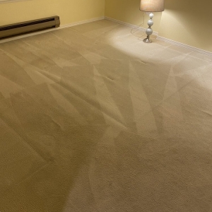 Photo of Angel's Carpet Care